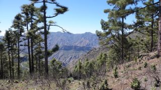 2022-03-GranCan-Mirador_Sargento-Trekking-PM-NN-49.JPG